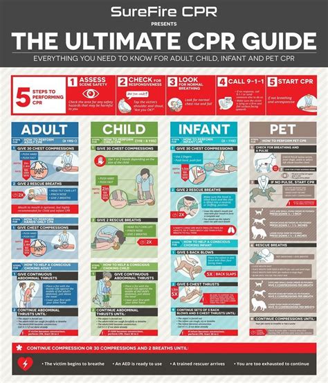 The Ultimate BLS Cheatsheet 